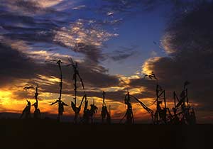 Central IL - Sunset (2003)