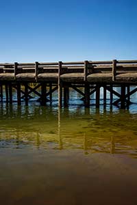 Yellowstone National Park - Fishing Bridge (2014)